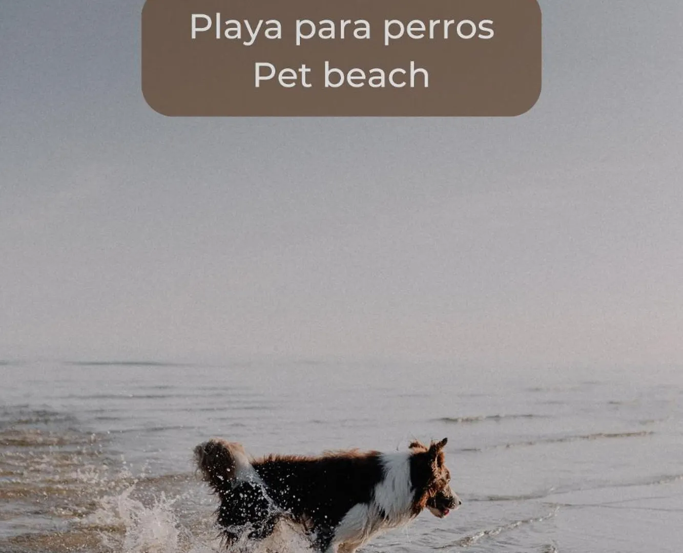 Candy Cotton - Piscina, Doble Terraza, Cocina Completa, Wifi Y Parking Corralejo